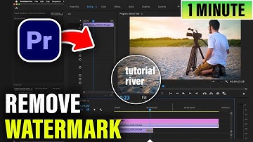 How to remove text from video in premiere pro