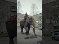НОВЫЙ АППАРАТ У БАБУЛИ - SORA 2