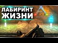 Лабиринт жизни на карте Ragnarok в ARK. Артефакты мудрости, бродяги, целостности и небесного лорда