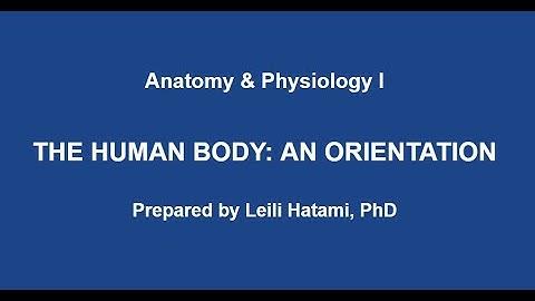 Anatomy physiology 1:The human body: Orientation: Chapter 1 part 1 by Dr. Leili Hatami