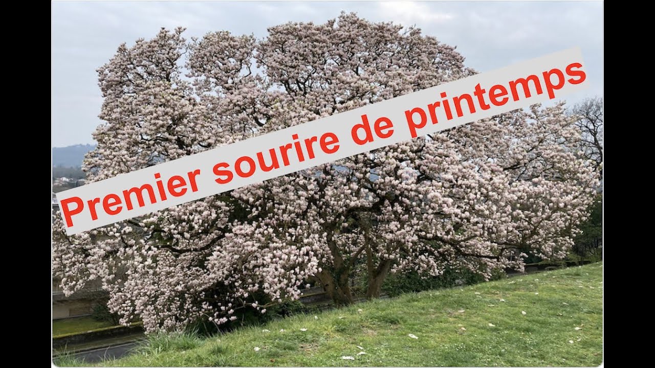 Premier sourire de printemps - Théophile Gautier - YouTube
