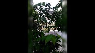 Download lagu Alief band - masa lalu (lirik)