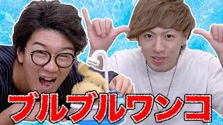 【大流行】ブルブルワンコでびしょ濡れ対決！【ヴァンビ × ボンボンTV】