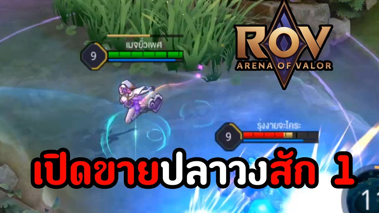 Medoly Rov เปิดขายปลาวงสัก 1 (Sephera Melody) : ROV EP 36 - YouTube