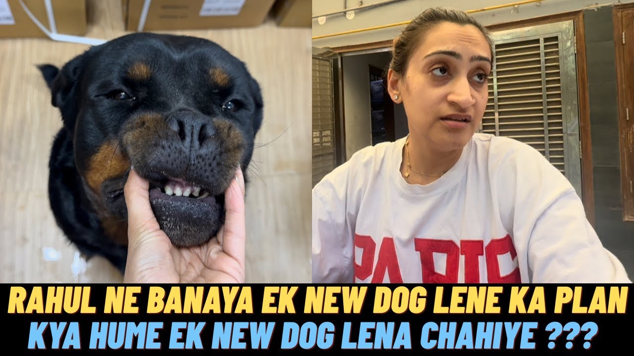 Rottweiler Chloe Ki Death Ke Baad, Rahul Ne Banaya New Dog Lene Ka Plan 🥹