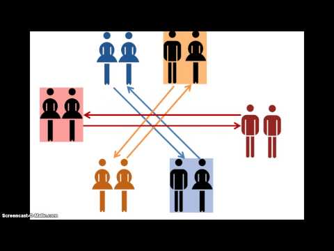 Video: Wat Is Sociale Differentiatie?
