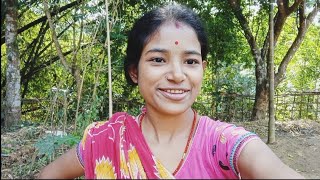 আমদর মকর সকরনত এইরকম পলন কর লবলগভডও