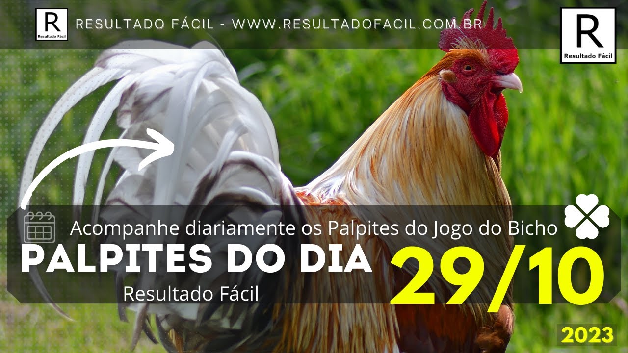 Palpite do dia 26/10/2023 do Jogo do Bicho - Resultado Fácil