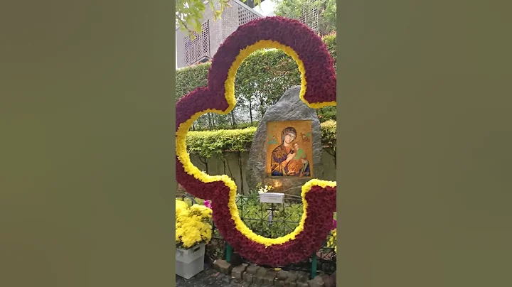 #Annual Novena Procession 2025#Novena Church#youtubeshortsvideo