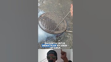 Thumbnail of Fogging Nyamuk: Basmi Nyamuk DBD dan Malaria! #Nyamuk #Malaria #Kesehatan #shorts