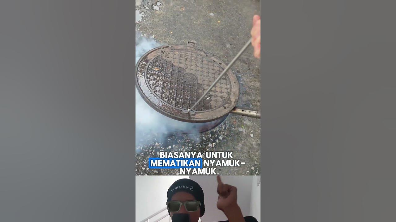 Fogging Nyamuk: Basmi Nyamuk DBD dan Malaria! #Nyamuk #Malaria #Kesehatan #shorts