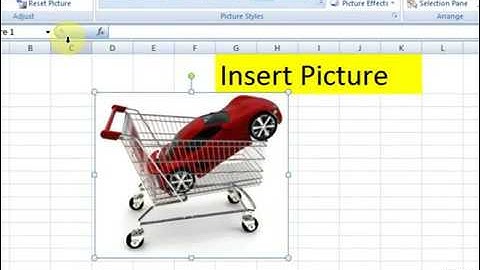 Lesson # 44 The Insert Picture Adjust Microsoft Office Excel 2007 TutorialUrdu & Hindi   YouTube