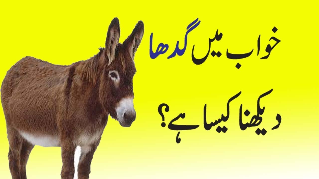 What Is The Definition Of Donkey Punch