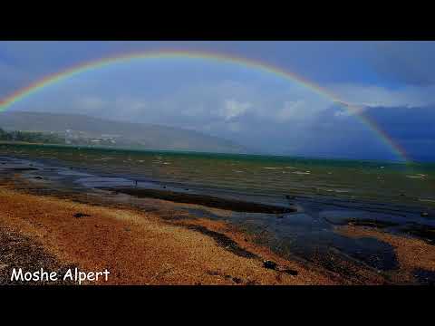 כנרת - ים של חיים - תמונות נוף