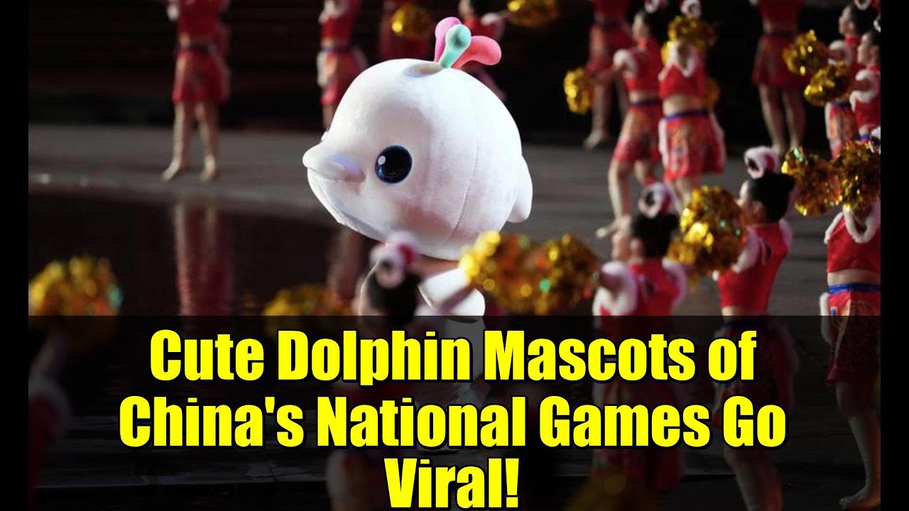 Милые дельфины — талисманы национальных игр Китая — становятся вирусными!