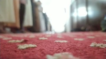 تلاوة خاشعة للقارئ ياسين الجزائري من تراويح رمضان 1443-2022