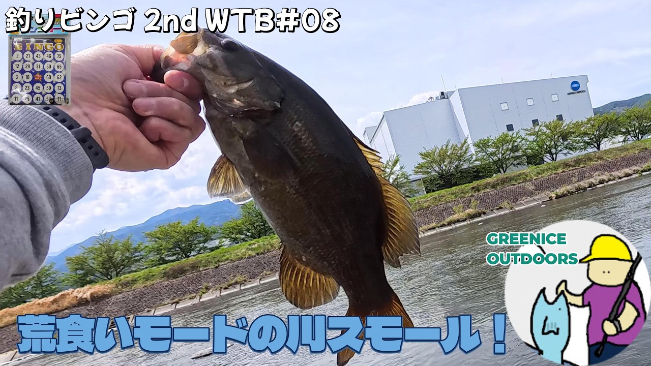 WTB #08 River Smallmouth Bass in Frenzy - YouTube