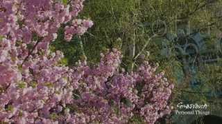 Subdibula - Sofia Instrumental