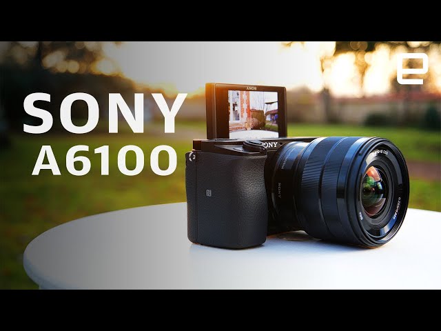 Sony A6100 review: Incredible autofocus for a budget camera 
