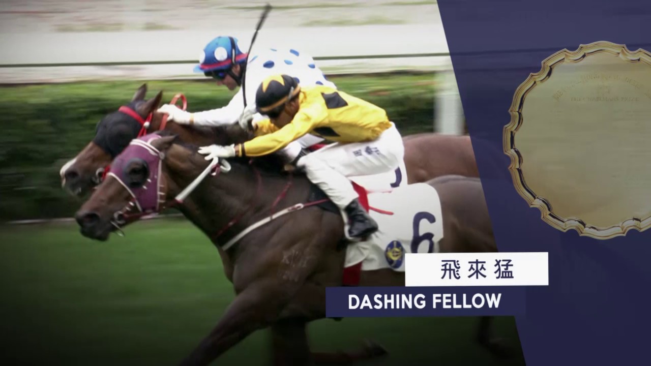 [Champions Mile & Chairman's Sprint Prize 2017] Double excitement