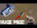 INCREDIBLE Northern Pike Strike Captured on Drone | Sight Fishing For MASSIVE Pike