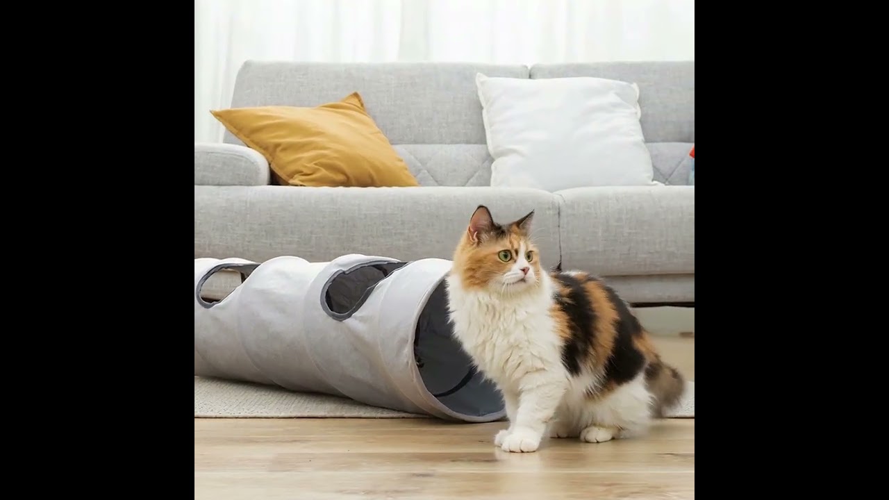 freepik  smooth dolly shot a playful cat emerges from a sof  87801