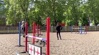 Training at its best, horse training. by UK4K 3,822 views 1 year ago 4 minutes, 55 seconds