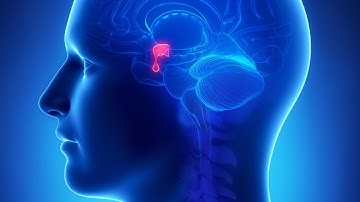 Supporting Your Child’s Vision After a Pituitary Tumor