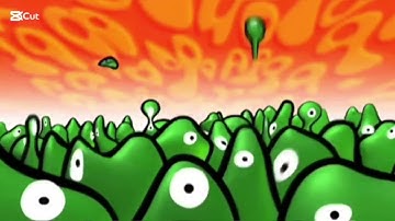 Cbbc ident multiply Extended