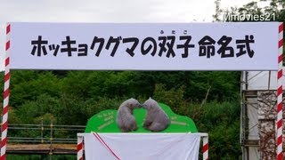 双子のホッキョクグマ 命名式 (2013年8月１８日)