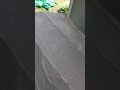 Roofing on my shed