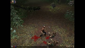 Dungeon Siege - gameplay - part 10 - hard difficulty - HD