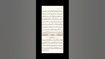 الورد اليومي: 4 صفحات (565-566-567-568) لتجنب هجر القرآن | تذكير يومي مستمر #قرآن #تلاوة