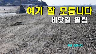 아는 사람만 간다는 곳… 영흥도 측도 바닷길 걸어봤습니다.