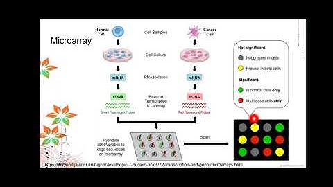Gene Expression Analysis part 1