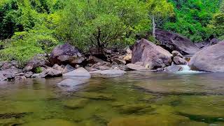 Relaxing Sound Of Flowing Water On Mountains And Primeval Forest.