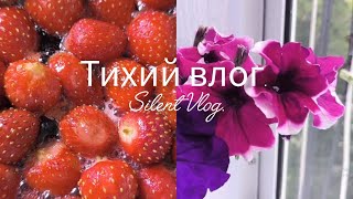 видео: 🌸Лето в банке: домашние заботы и тихий уют.🍓🥫/Summer in a jar: household chores and quiet comfort. картинка: 🌸Лето в банке: домашние заботы и тихий уют.🍓🥫/Summer in a jar: household chores and quiet comfort.