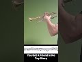 You Got A Friend In Me - Toy Story #trumpet #toystory #disney