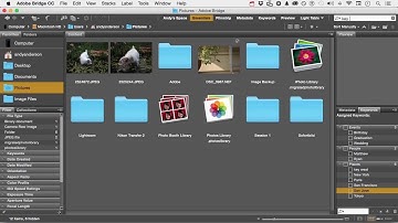 Photoshop CC 2015 Tutorial : Organization with Bridge (Searching For Files)