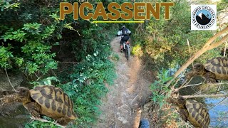 SENDAS x 🌲 PICASSENT (EL PINAR) 🌲 MTB BTT ENDURO TRAIL