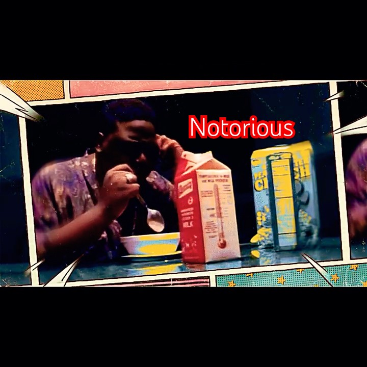 #biggie #shorts #biggiesmalls #foryou #notoriousbig