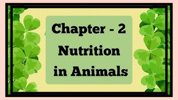 Science | Class 7 | Chapter 2.1 | Nutrition in animals