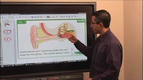 2it Science Virtual Bodies SMART Board Notebook SketchUp 3DMouse