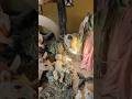 Christmas is coming #christmas #christmastree #trending #viralshorts #christmas2025 #shorts
