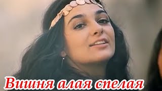 ПЕСНЯ ЗА ДУШУ БЕРЕТ  ~ВИШНЯ АЛАЯ СПЕЛАЯ~ ФАТИМА ХАБЛИЕВА