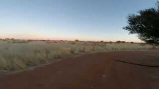 Namibia Kalahari Anib Campsite Kalahari Desert