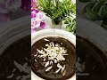 Soft and spongy teatime chocolate cake without oven 🍰👍#food #love #viral #recipe #explorepage