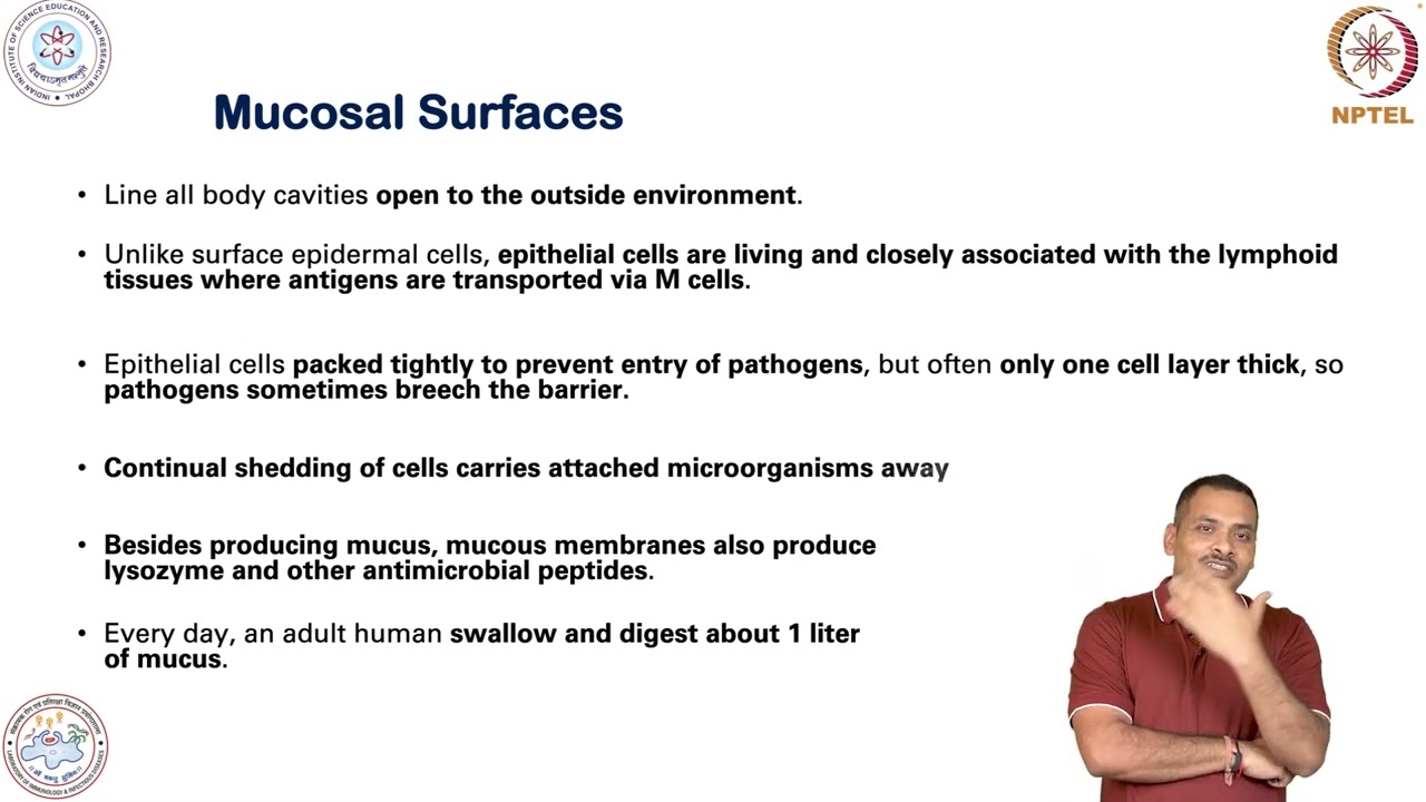 Introduction of Innate Immunity-skin