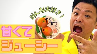 【びわが丸ごと】生産量日本一のびわを使った茂木びわゼリー