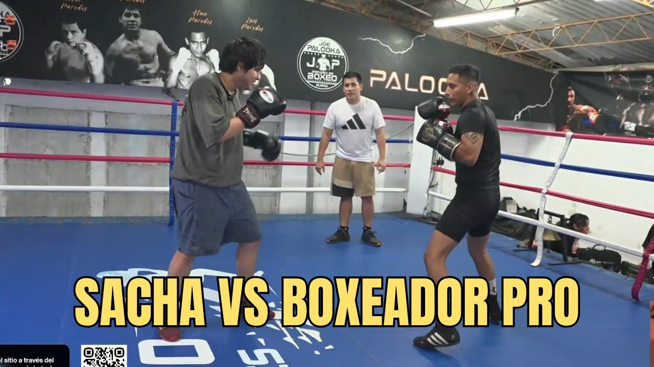 🔥 BOXEADOR PROFESIONAL RETA A SACHA | SPARRING REAL